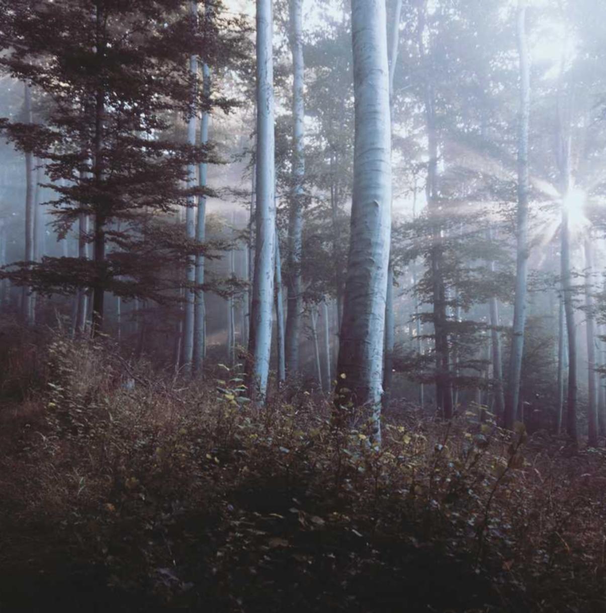 百度云实名账号：k社账号怎么注册中国地质