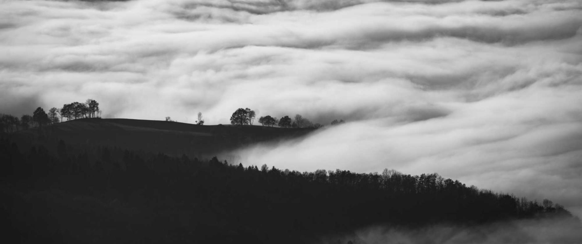 兔子ip实名账号：短信与社交媒体之间的比较，哪一个更有效？