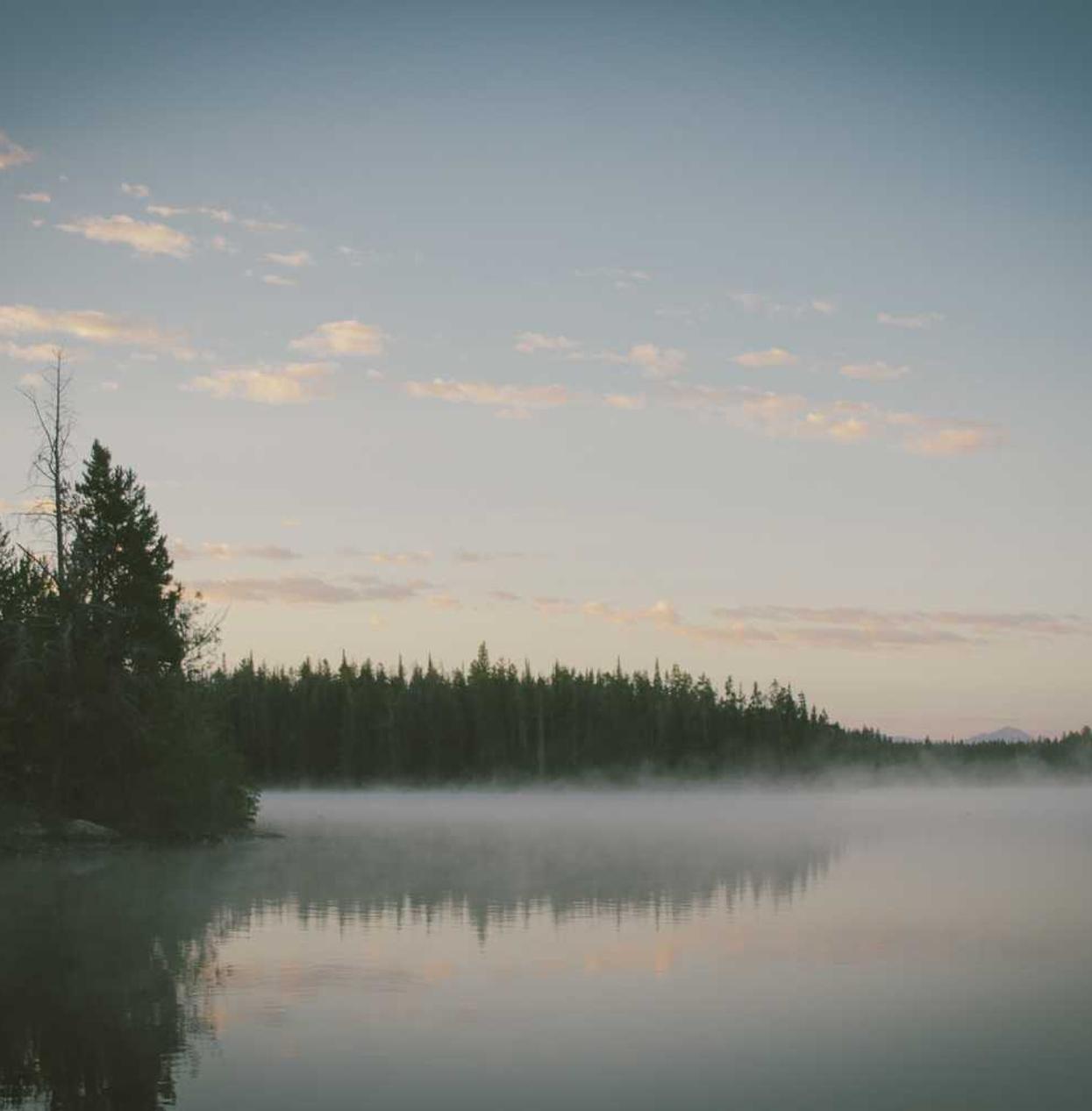 珍爱网实名账号：荣耀皮肤购买平台