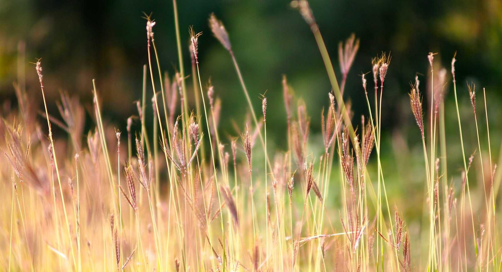 知乎实名账号:琼山代理公司注册条件要求