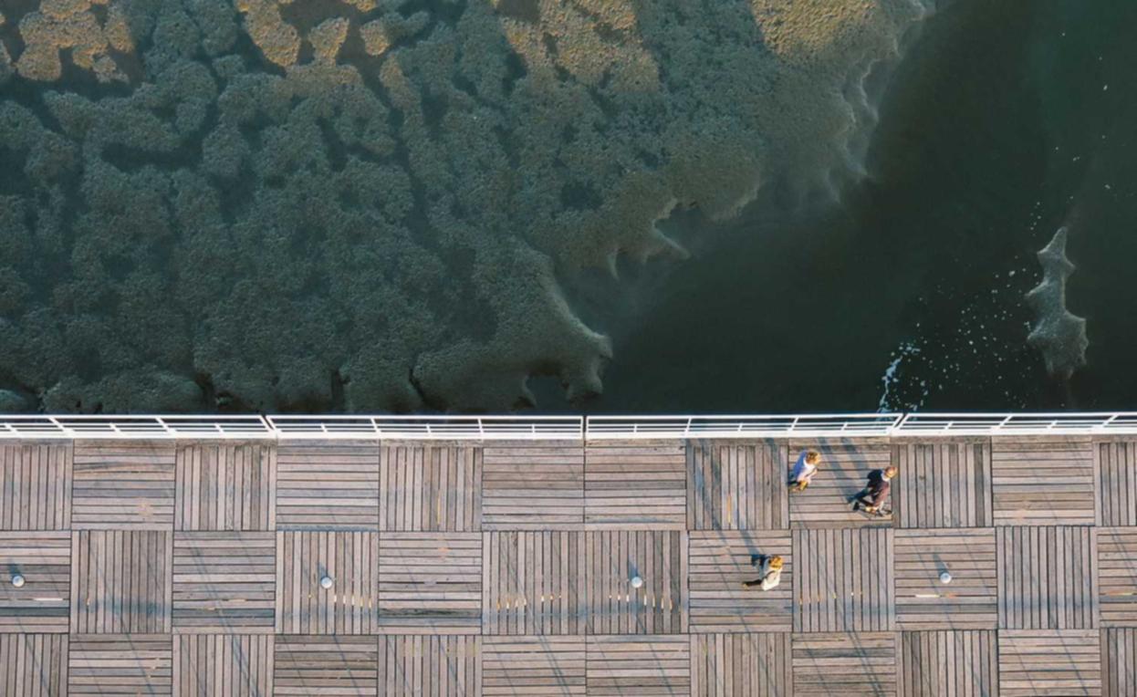 千奇百怪的技术支持辅助剖析