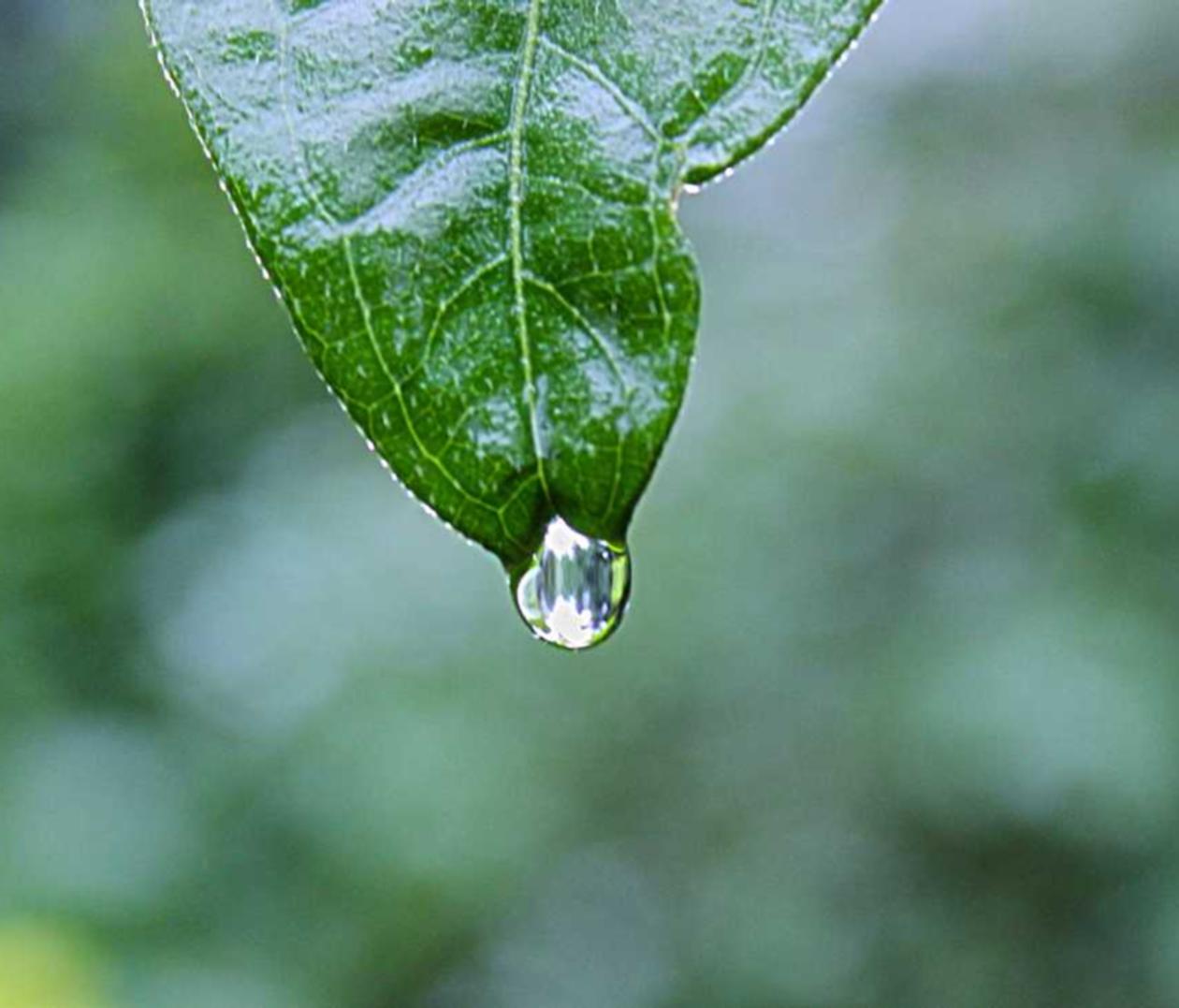 vx买卖：第一天注册头条账号是什么