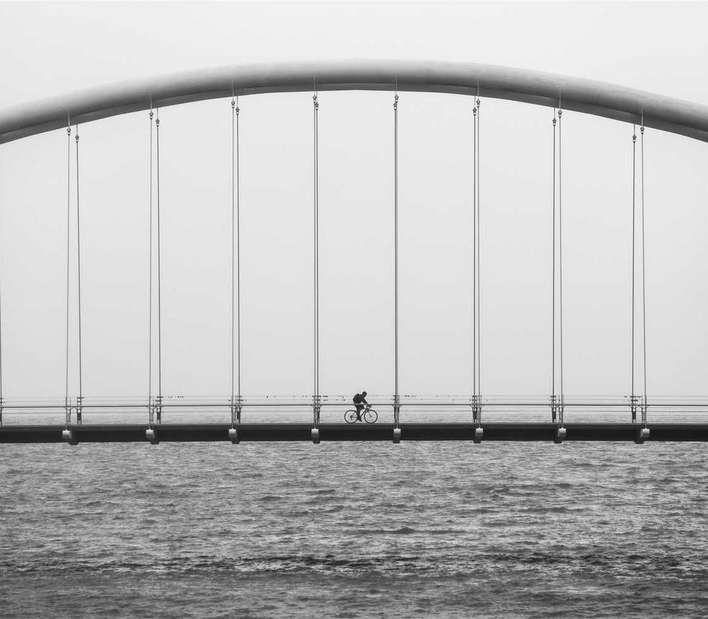 优酷移动实名账号:网络打鱼游戏代理平台