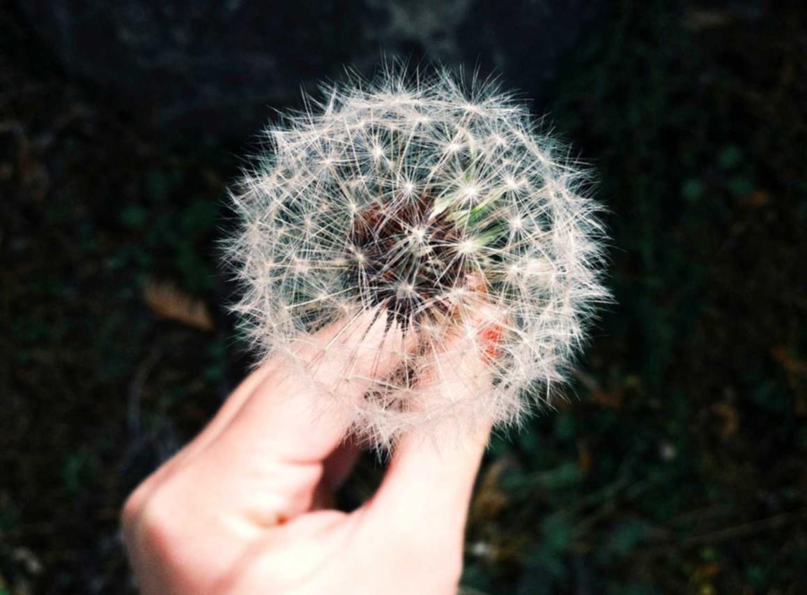 贴吧实名账号：公司代理注册多少钱啊