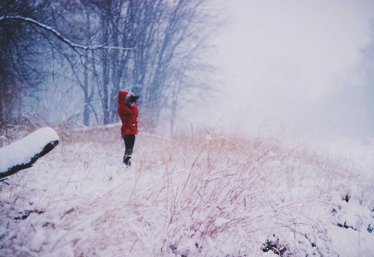 网站压力测试|如何在你的浏览器中增加网络安全