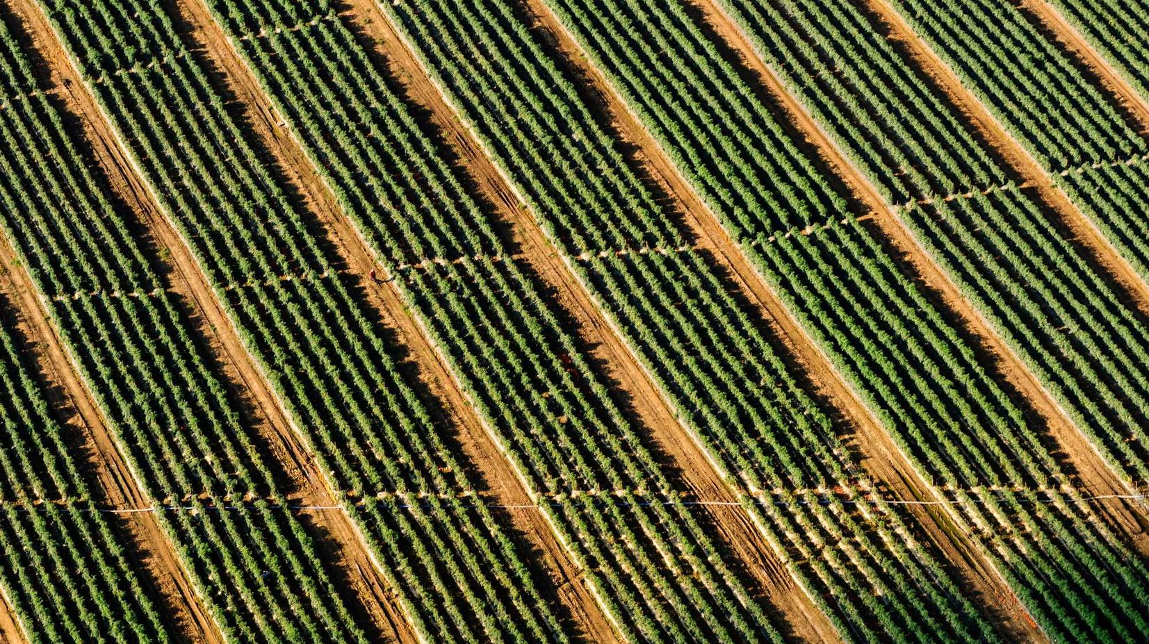 QQ实名账号：重庆德国公司注册代理