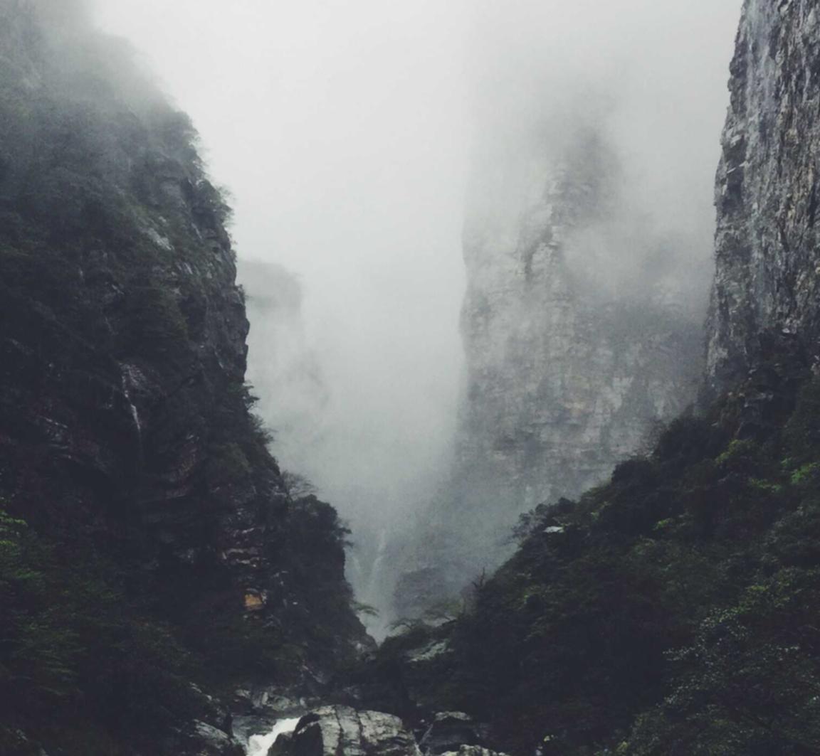 Bohem宝恒树叶橙子爆珠：萧山公司注册代理公司