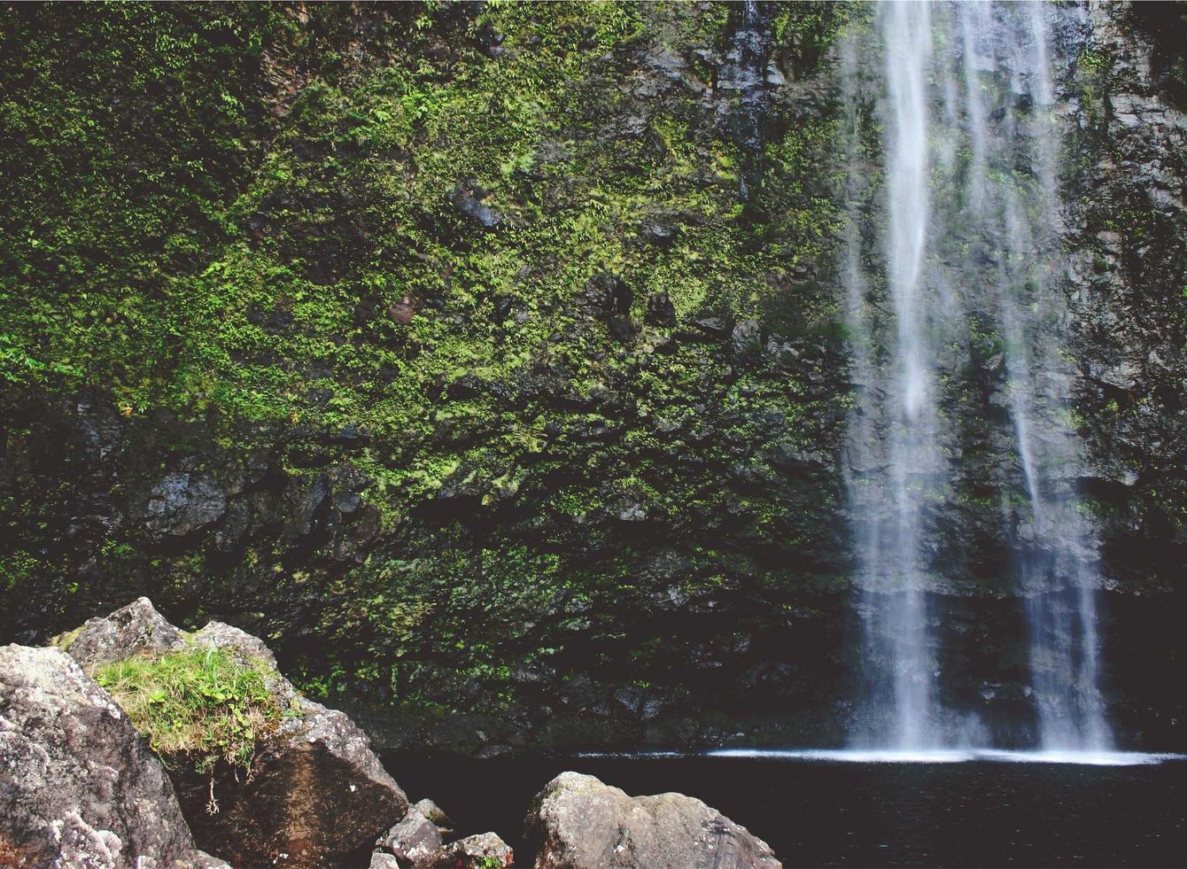 2号站cbs app详情下载教程