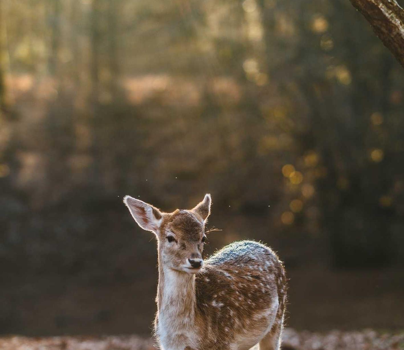 蜗牛移动实名账号：西宁代理记账注册