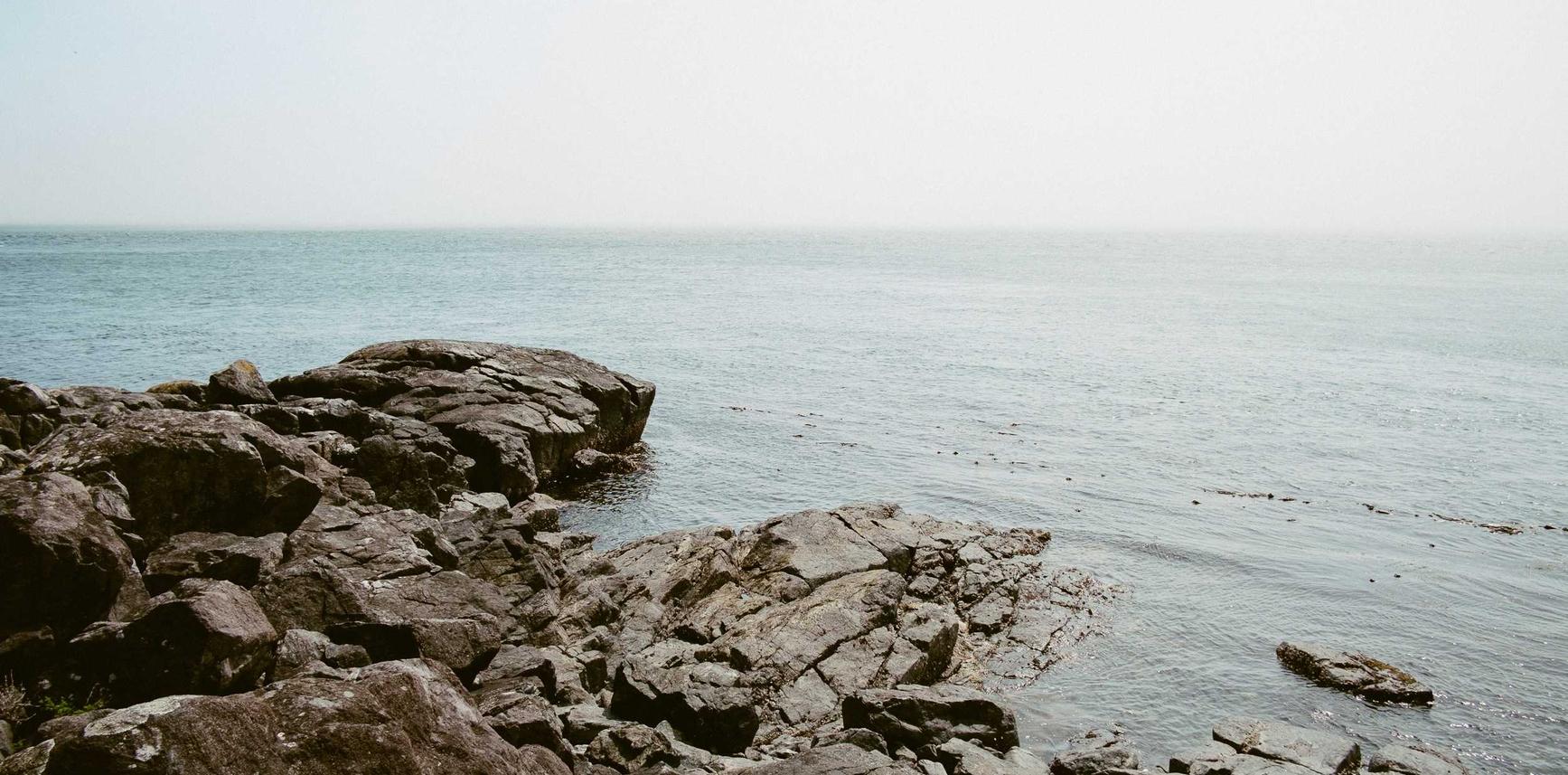 蝙蝠实名账号：平台模切机代理