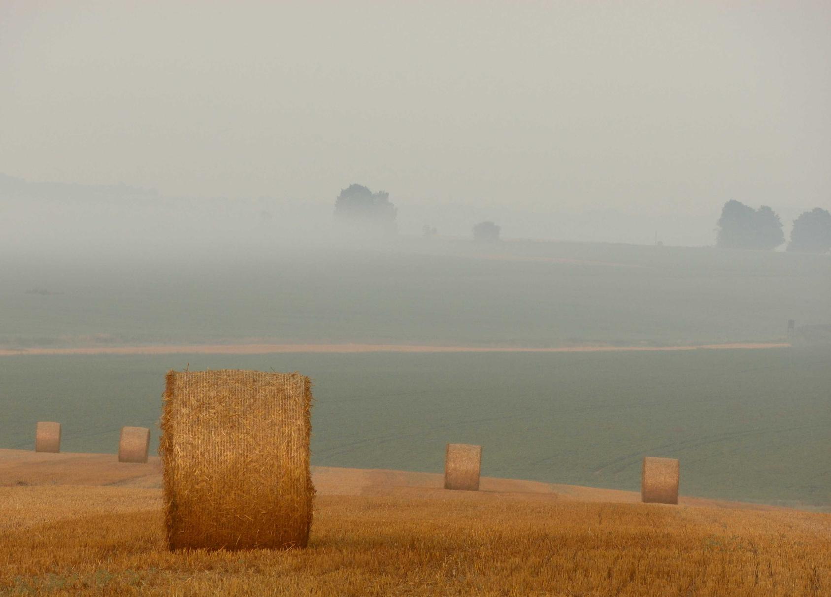 CS2：金鹰代理平台