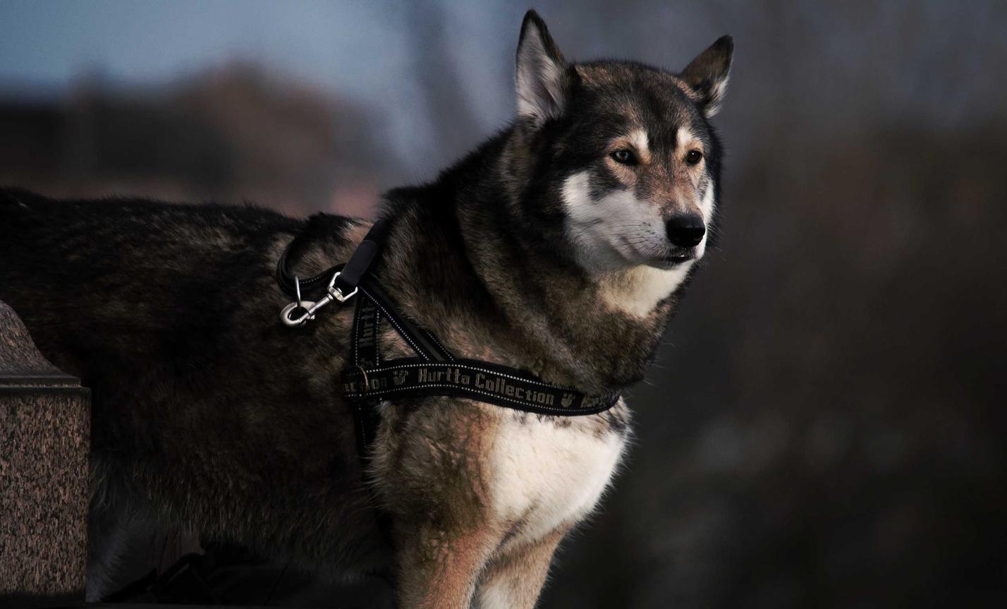 绑卡微信号买卖:代理注册网店流程