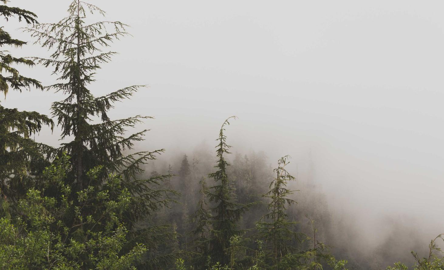吸烟和严重运动损伤的风险