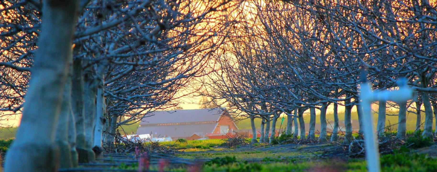 解读对抗海量DDOS攻击- 高淳公司代理注册