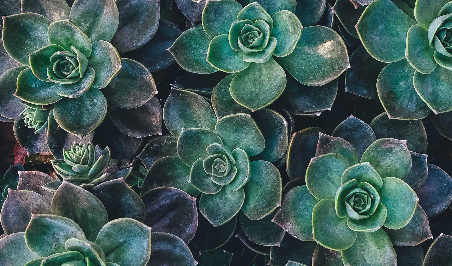 副卡实名账号:流量卡在不同季节和天气下的使用效果