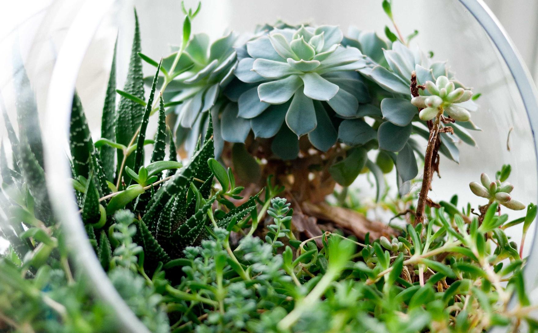 珍爱网实名账号:品牌衣服购买平台