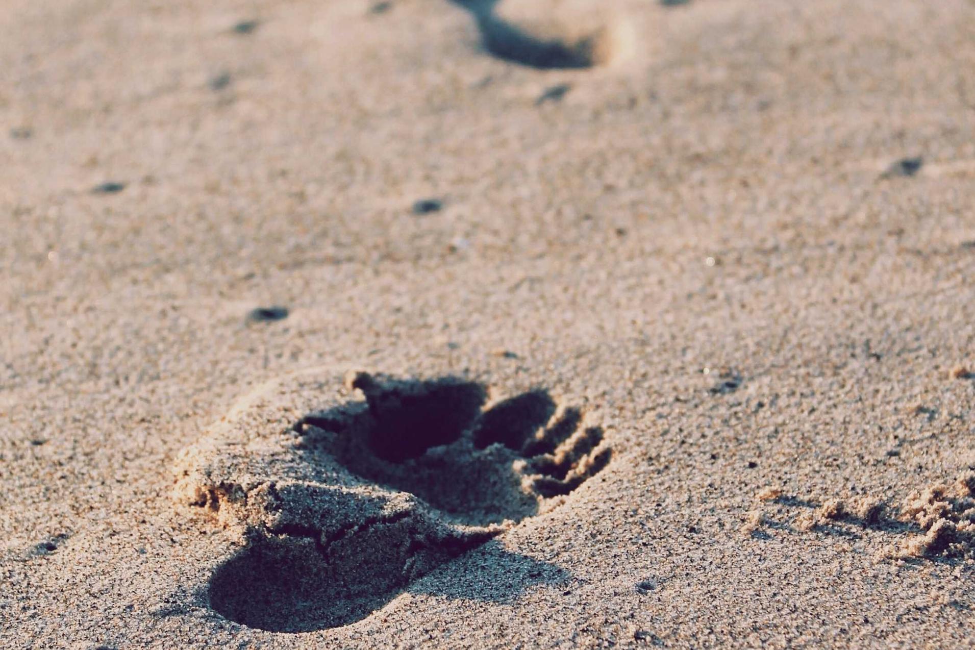 微博实名账号：详情下载教程作文欣赏app