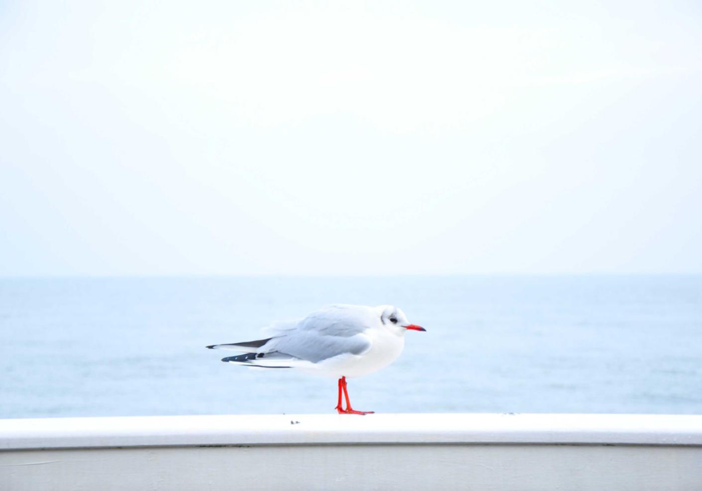 国外微信买卖：皮具代理衣服推荐平台