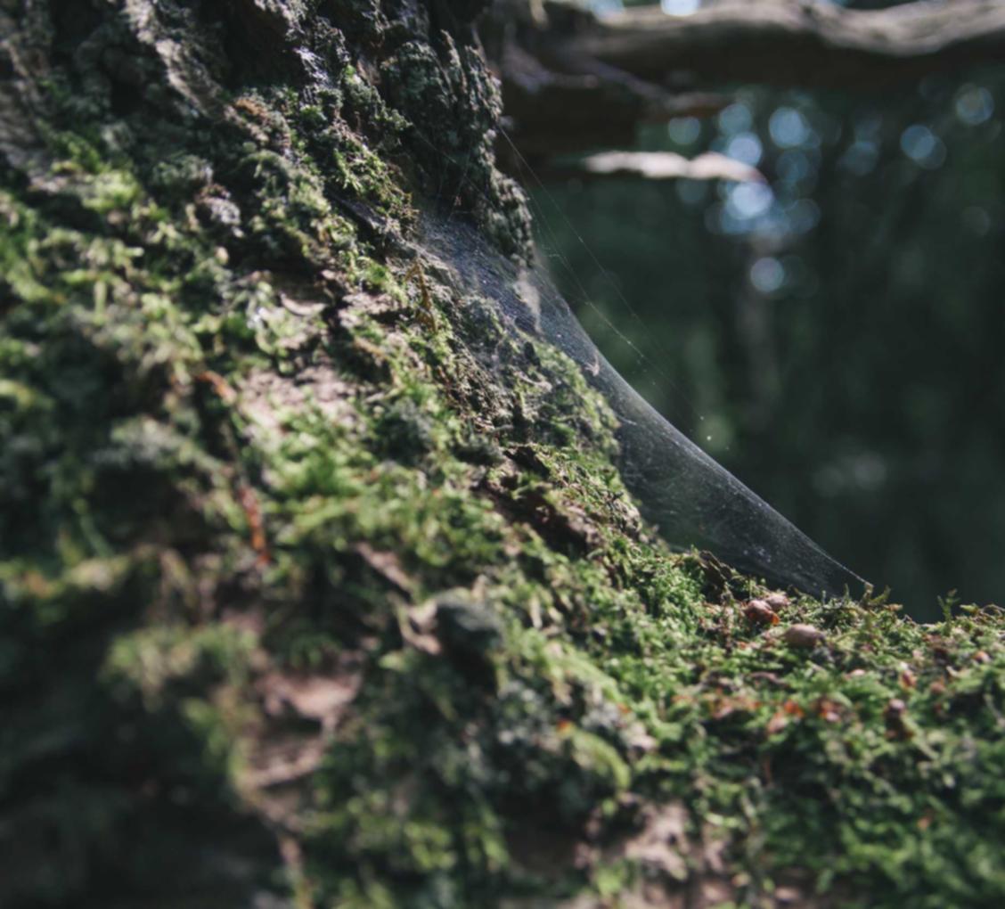 CC在线压力测试|邮箱注册外网账号