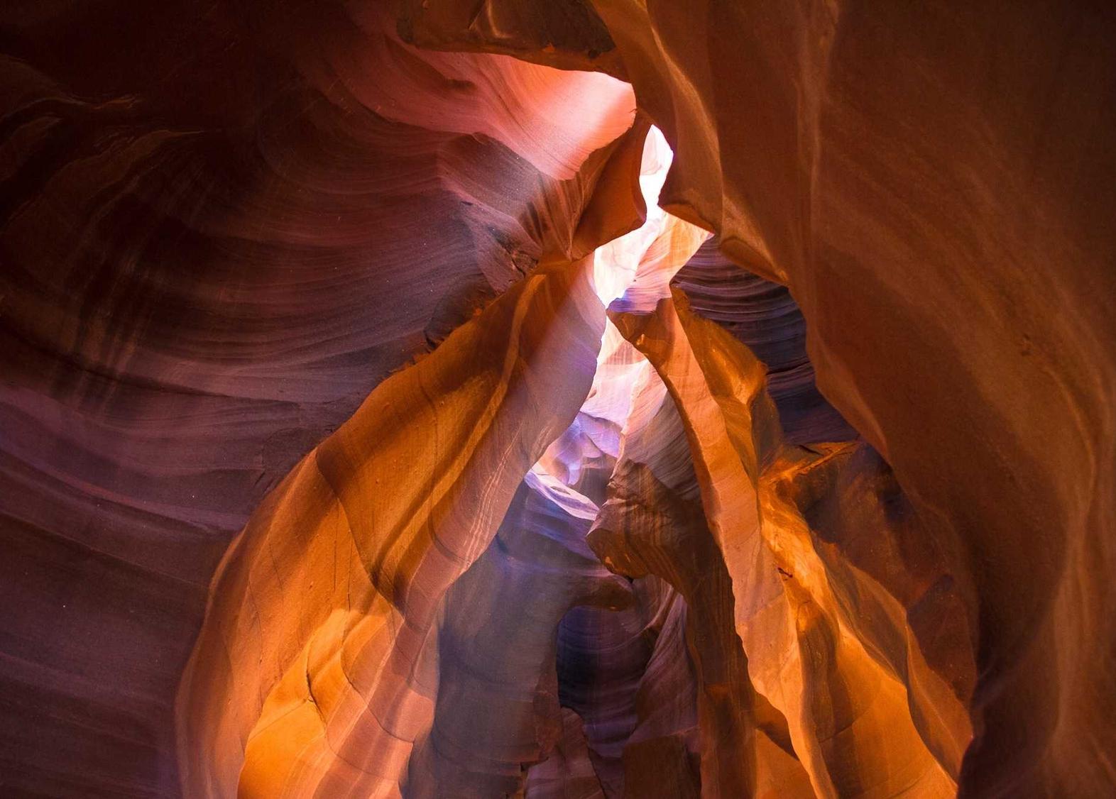 在线DDOS压力测试网页端|运动补剂代理平台