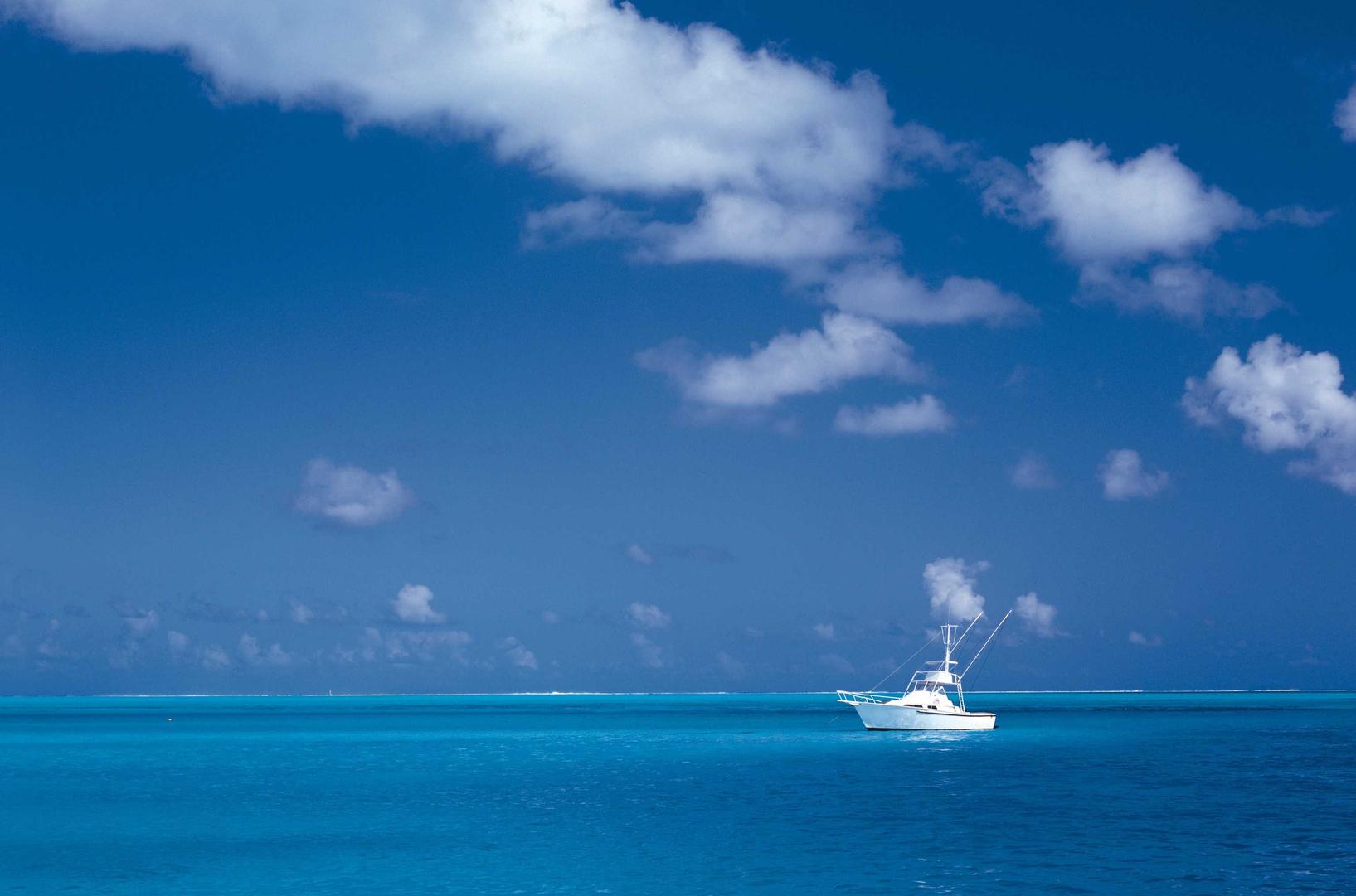 欧盟卡斯特（5mg）：爱洗车app详情下载教程