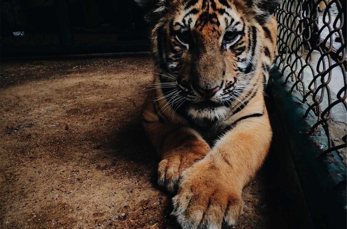 用友通信实名账号：流量卡的数据限速和超出流量费用