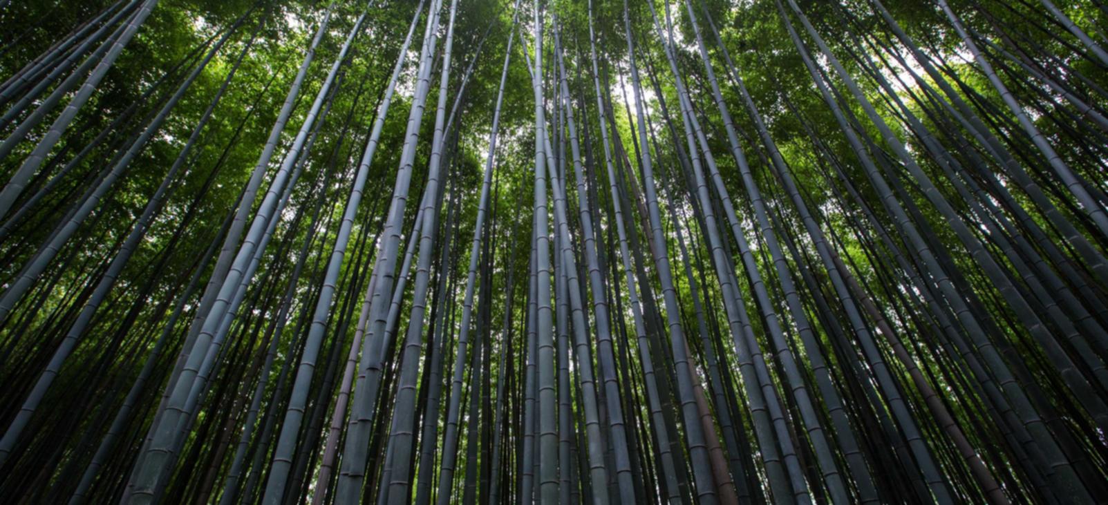 戒烟成功故事的启示录