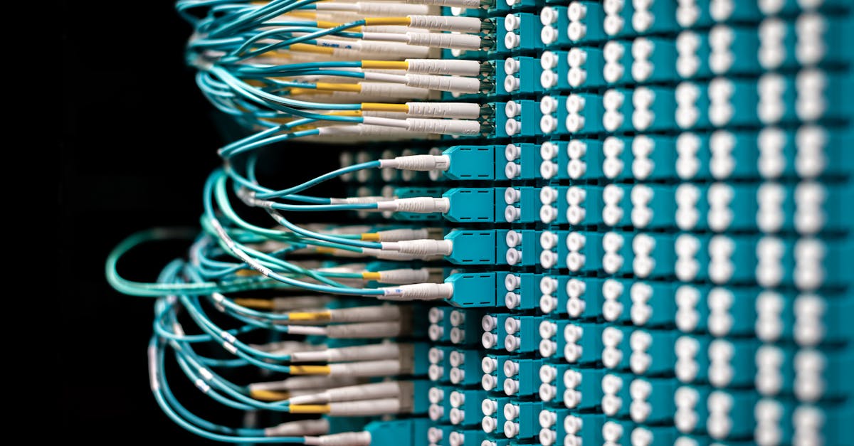 失落的方舟（韩/俄/日/欧/台/美服）：算命的平台代理