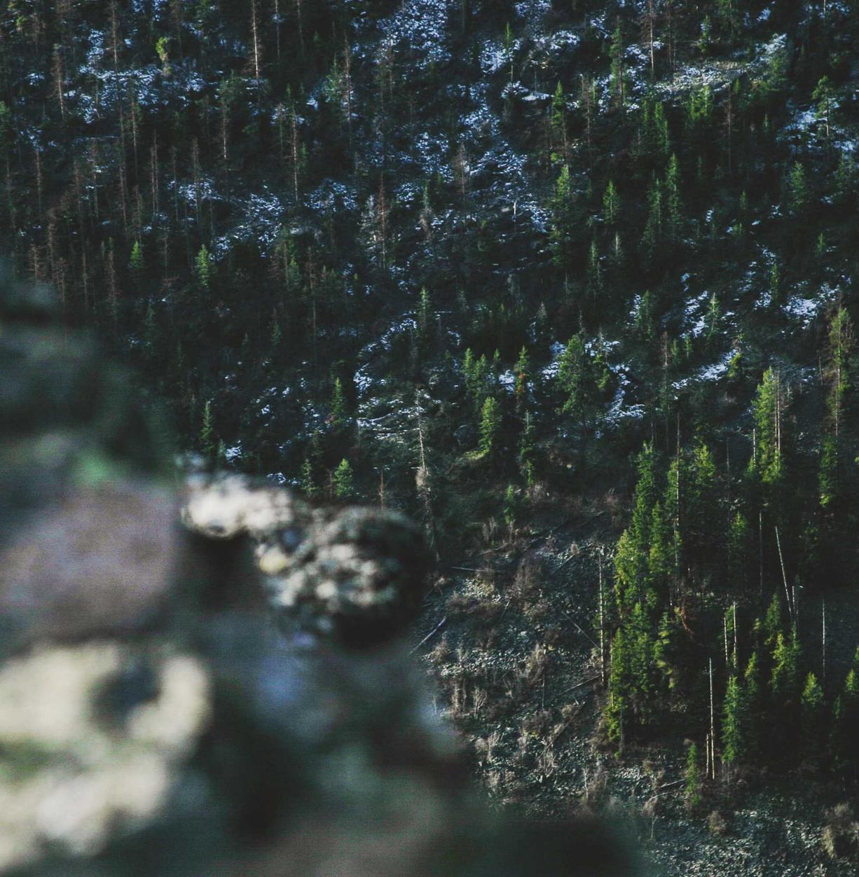 白号发卡网：注册章丘公司代理记账