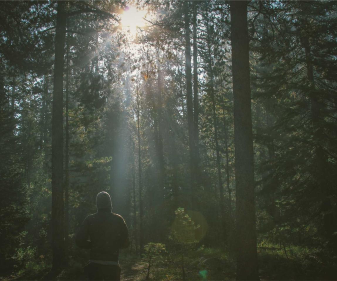 高德进口奶粉注册代理