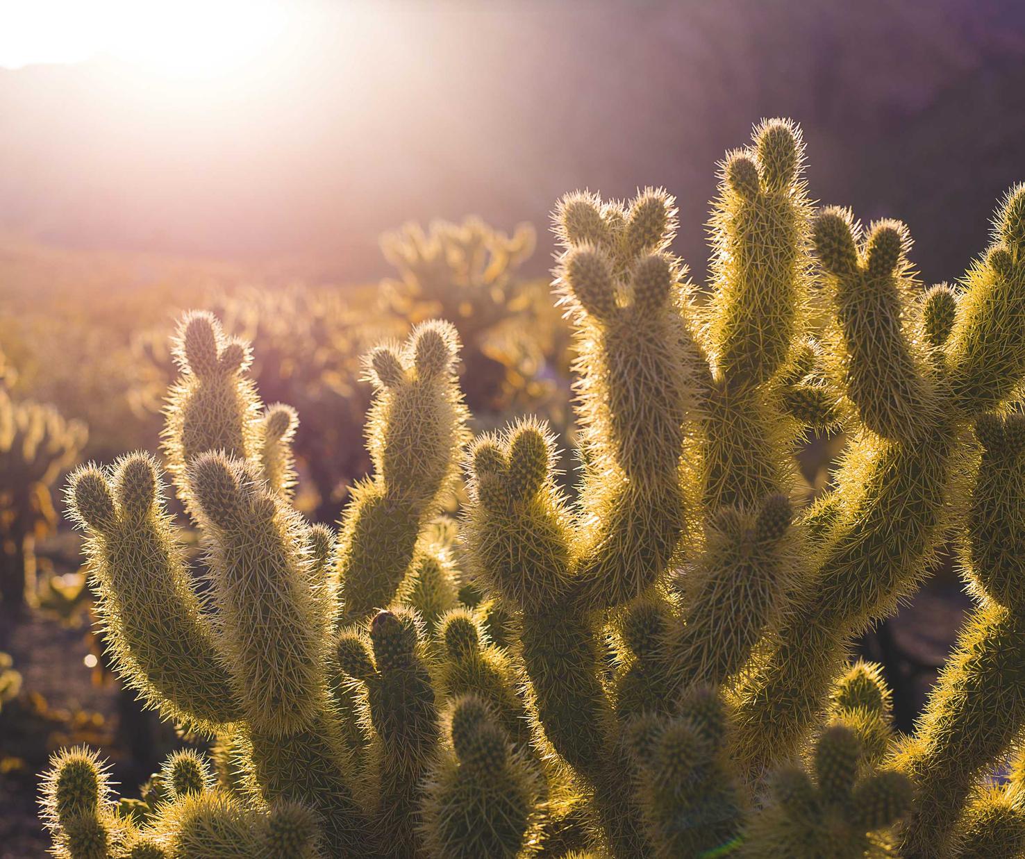 玩游戏时感受到了技术支持？面对它，你有什么选择？