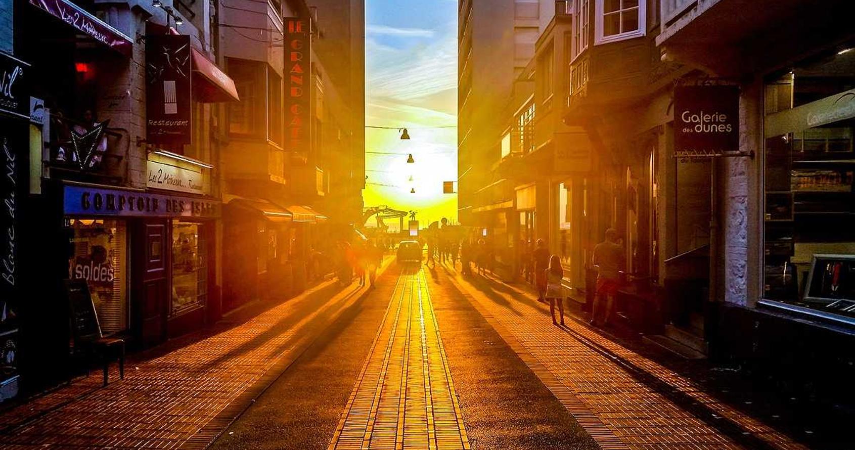 海鸥实名账号：液压模型购买平台