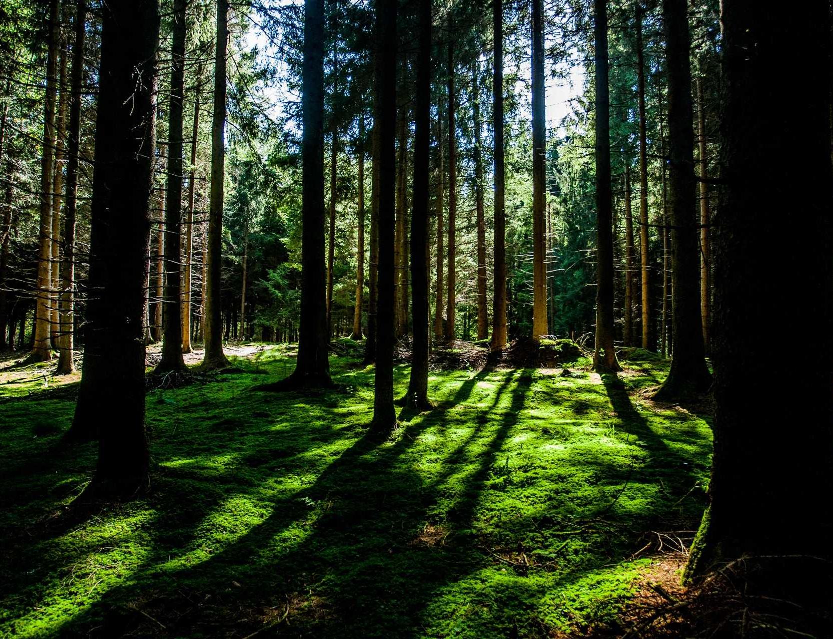 赫兹实名账号：快手直播代理平台