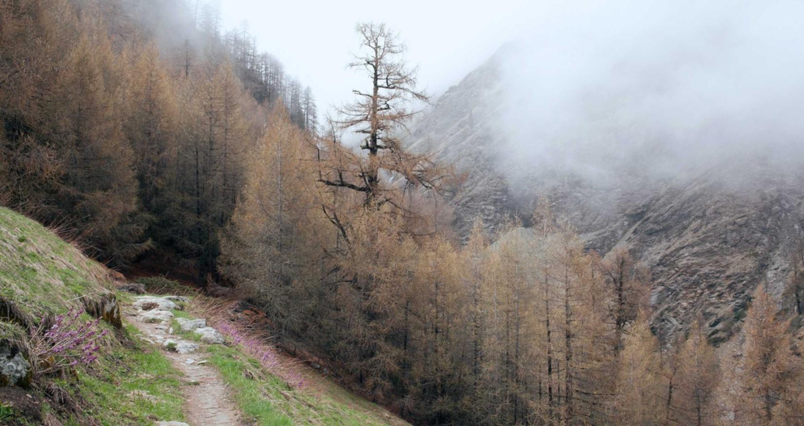 网站实名账号：详情下载教程美居的app详情下载教程