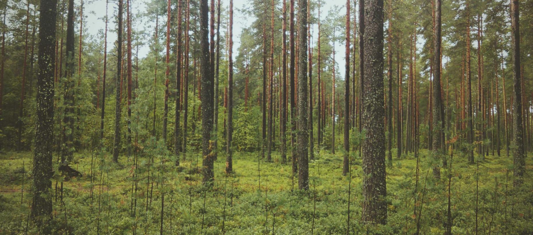 实名认证对跨界互联网金融的影响