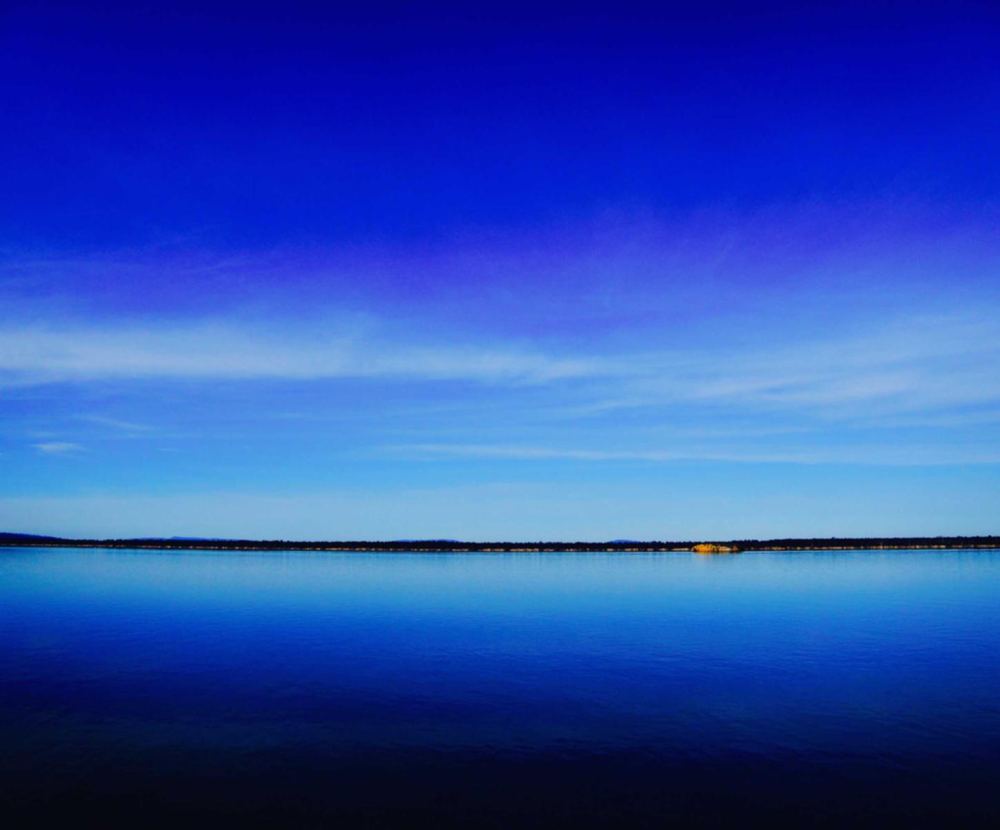港湾论坛详情下载教程App