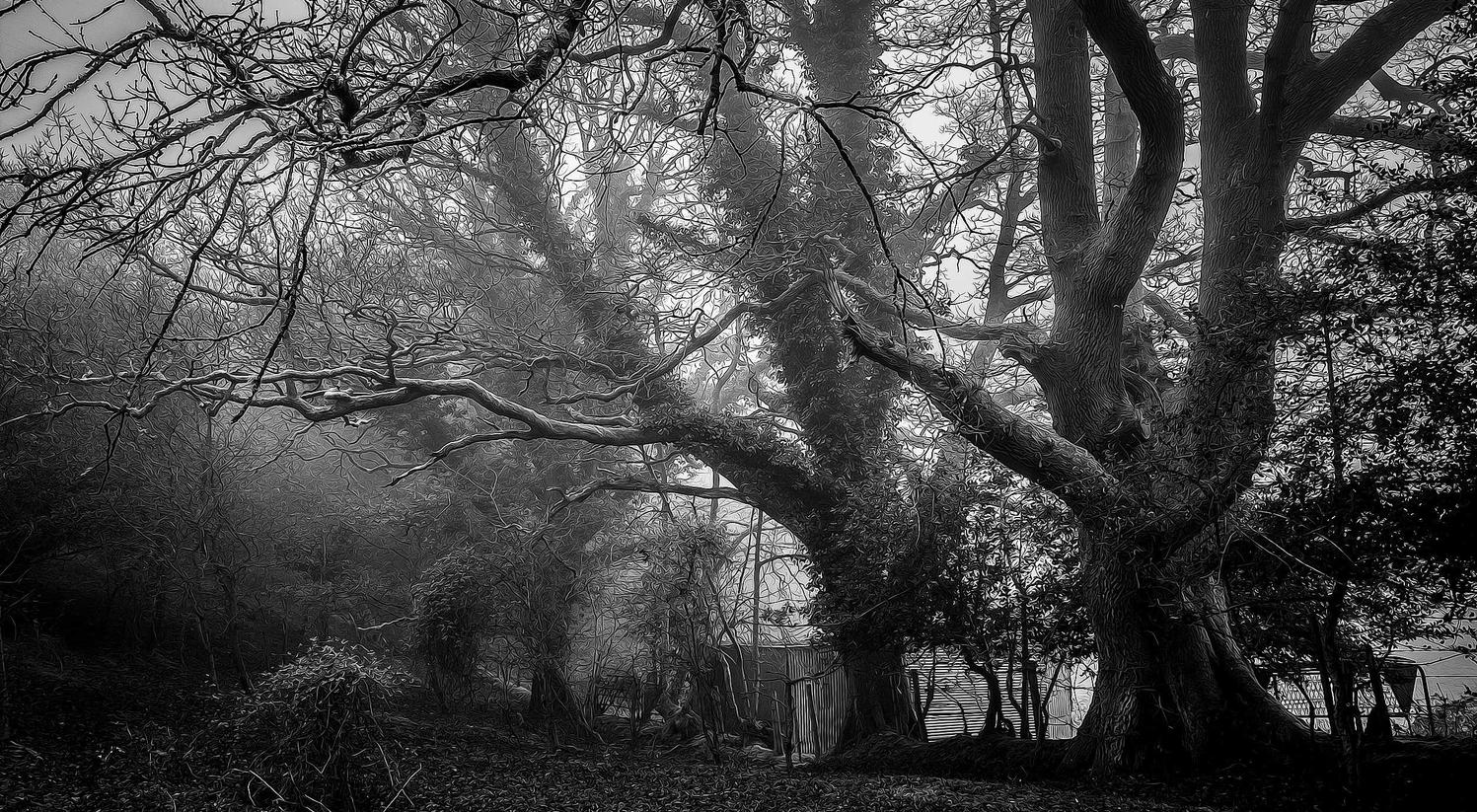 远征2：济宁期货开户哪个平台好