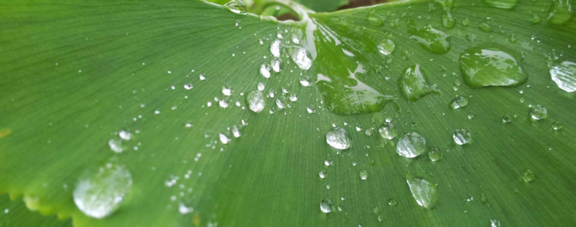 蜂巢互联实名账号：荔详情下载教程app