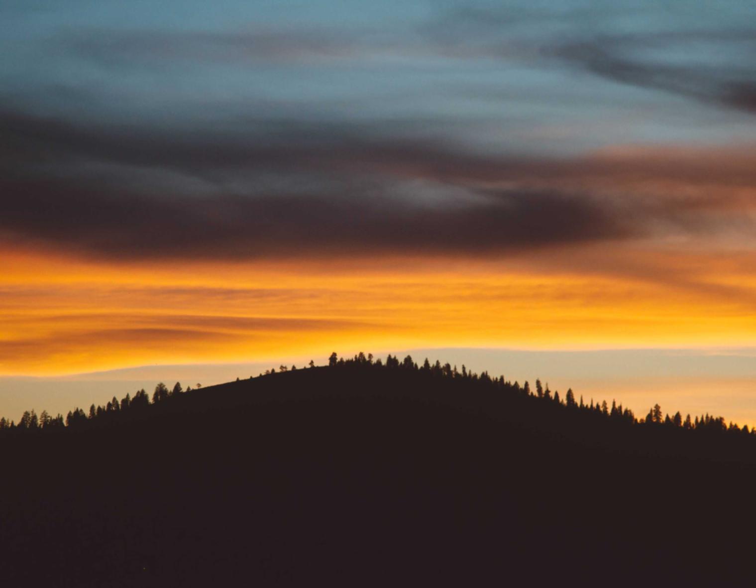 恩佐2小学生代理平台