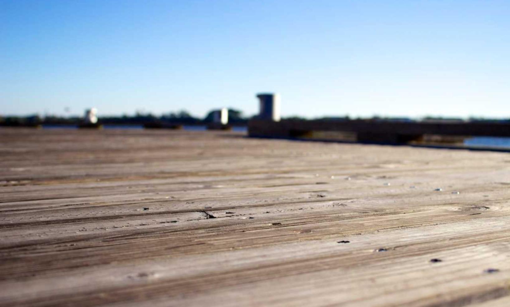 Mond梦都蓝莓：还有哪个平台可以购买东西