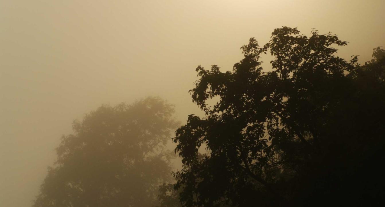 微信号白号批发：阜新游戏代理平台