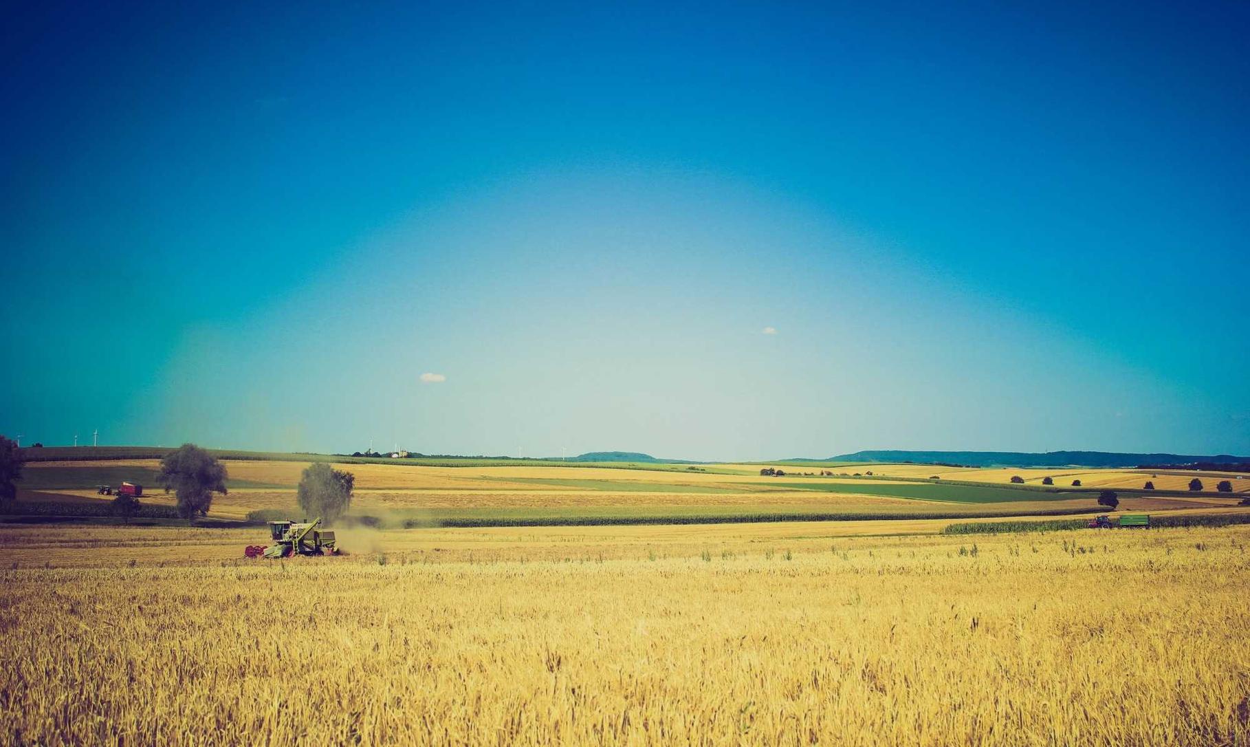 微信新老号买卖：海淘购买平台