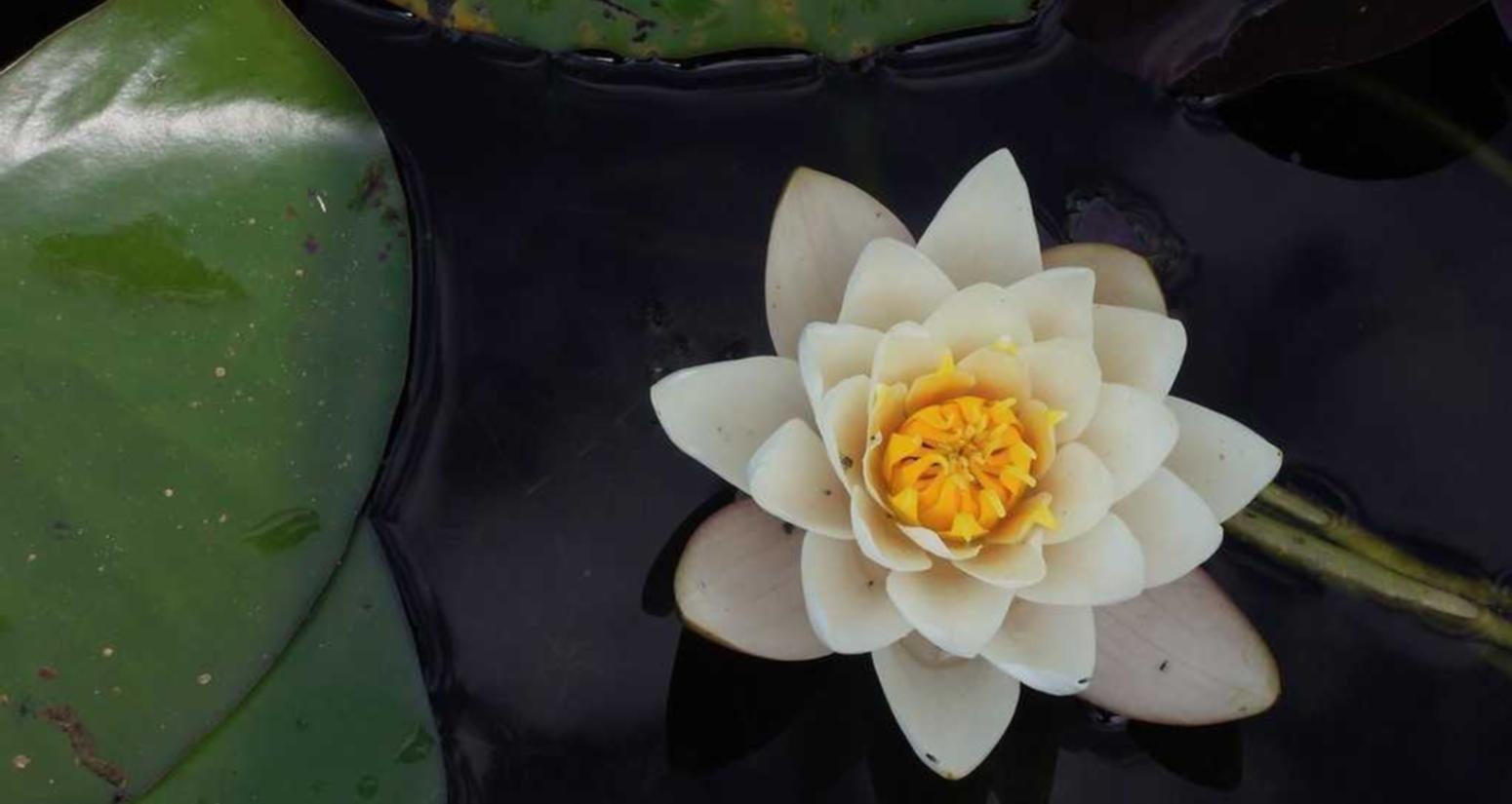 天宏易哈佛代理平台