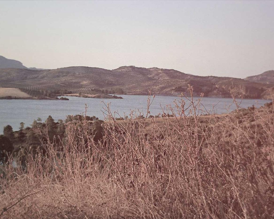 有嘴蓝骆驼:河南板式办公家具购买平台