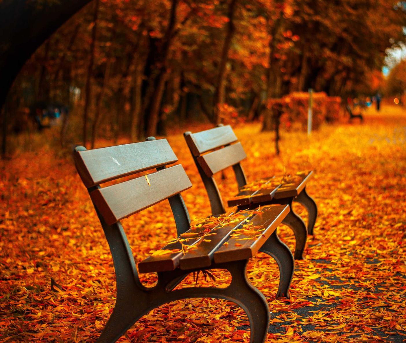 网页在线DDOS压力测试|上海代理公司注册推荐