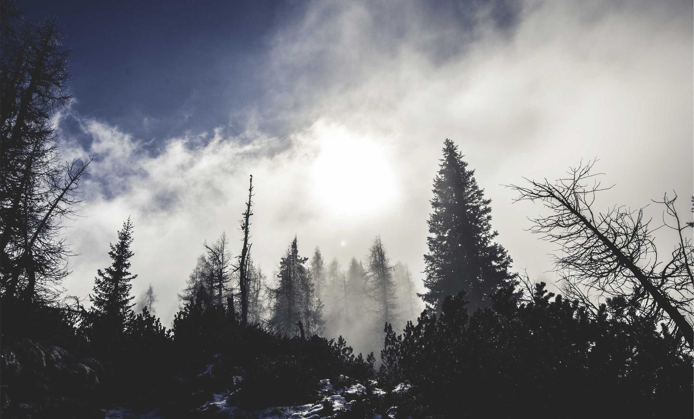 APEX英雄手游：杨浦记账代理平台