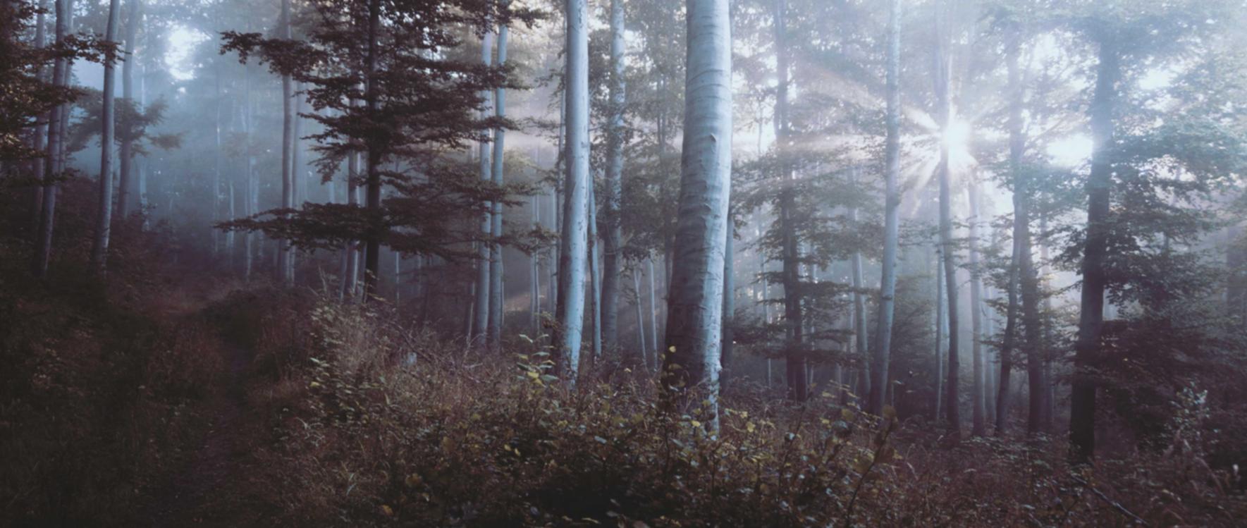 如何利用短信营销来促进在线销售