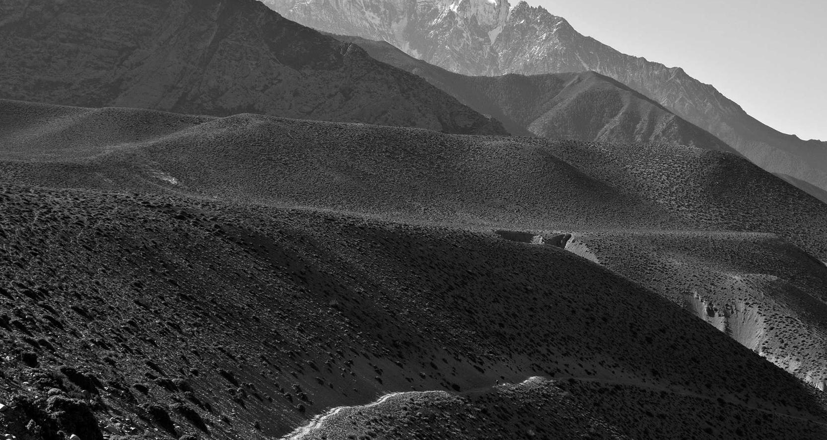 话机世界实名账号:秀屿区商标注册代理机构