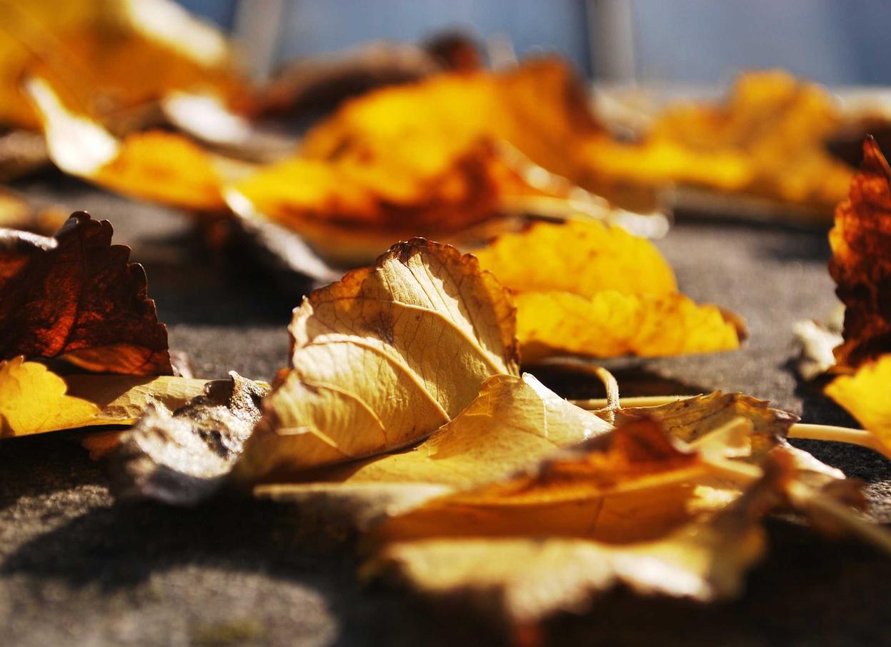 网信移动实名账号:开户平台流程时间多久完成