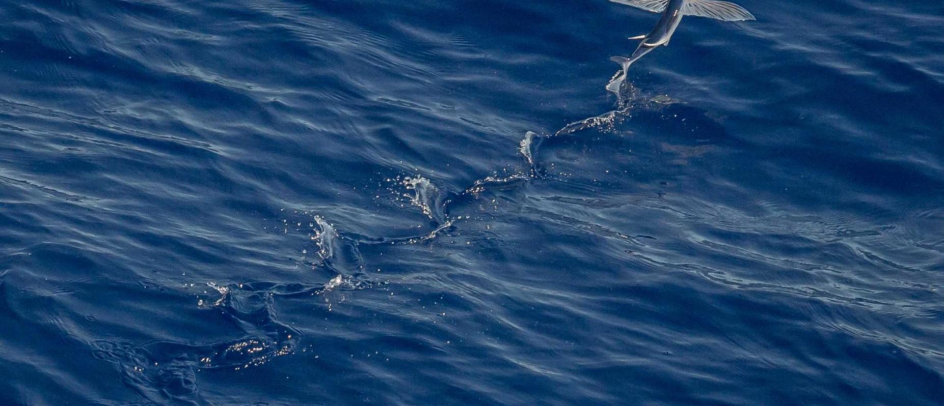 珍爱网实名账号:优美高清app详情下载教程